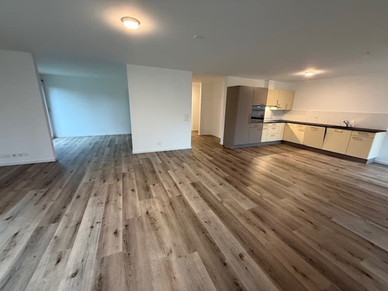 Modern 5.5-room apartment with garden seating in Lenggis (2)