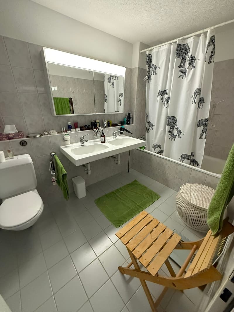 4.5-room apartment with balcony for rent (6)