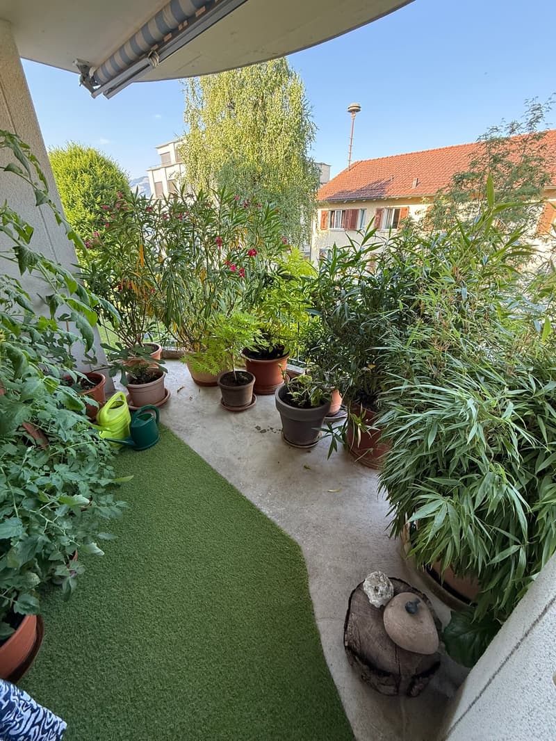 4.5-room apartment with balcony for rent (8)