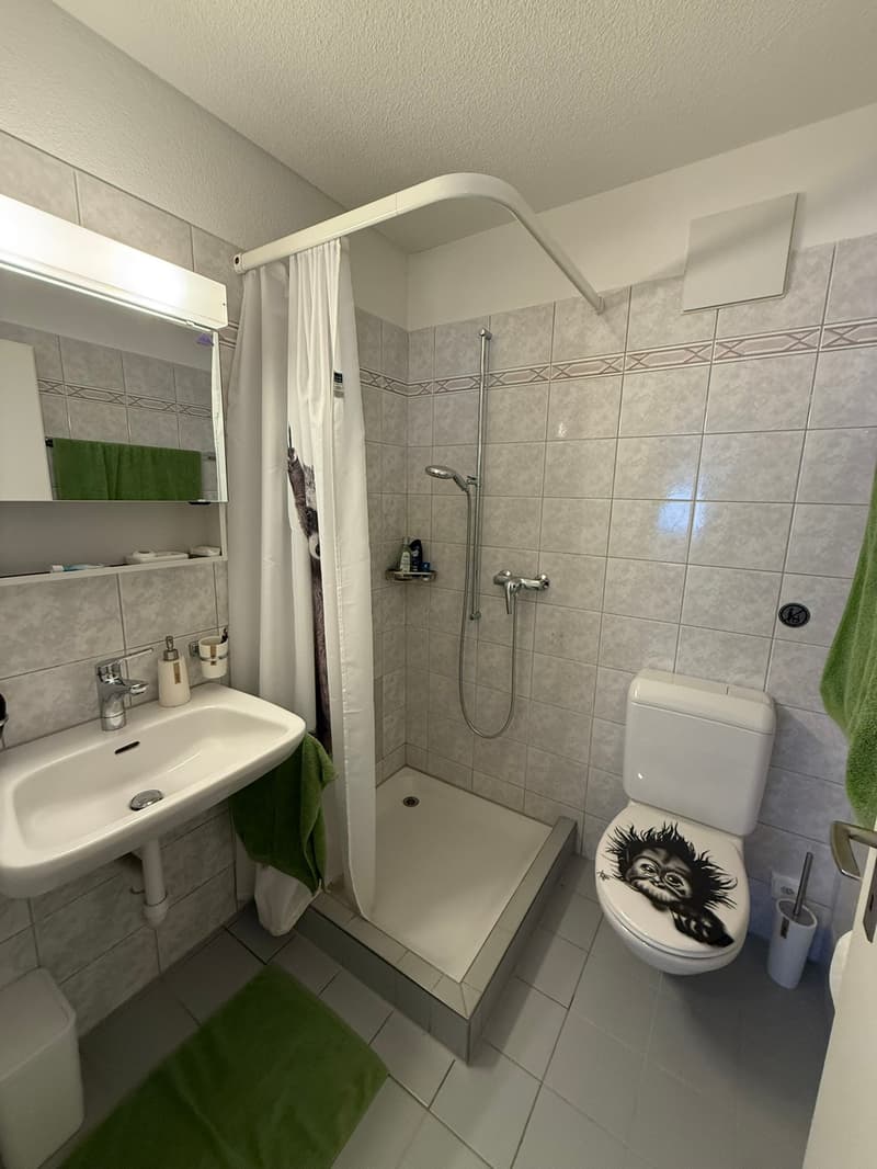 4.5-room apartment with balcony for rent (7)