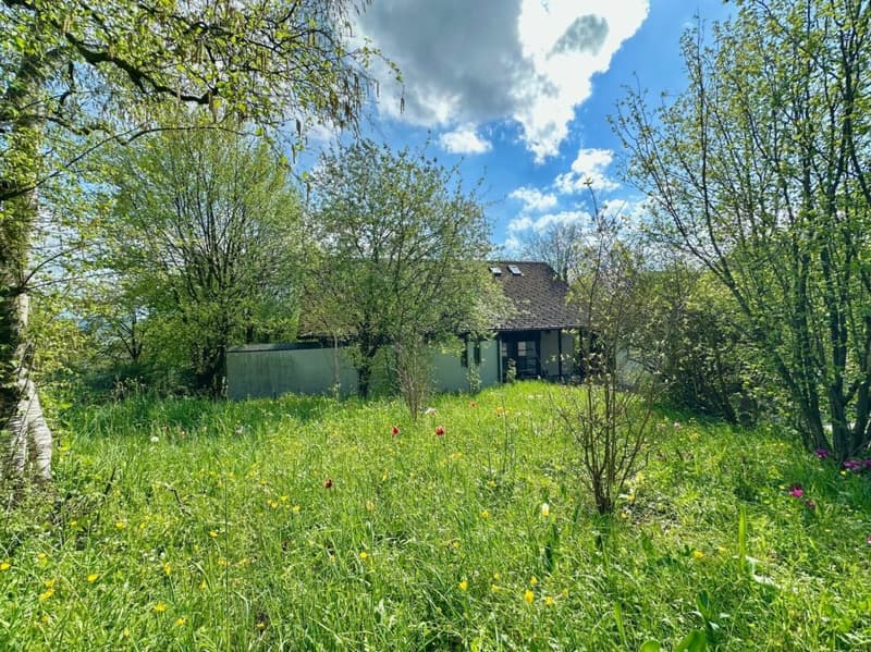 5.5-room single-family house in the green - pure peace and quality of life (3)