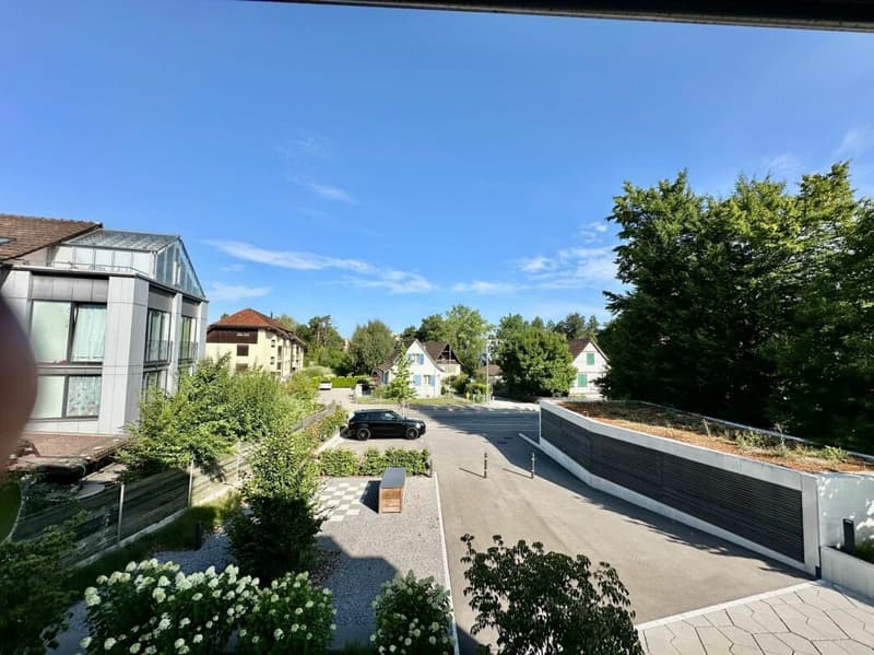 Exklusive 4.5-Zimmer-Eigentumswohnung - Licht, Stil und Wohnkomfort auf höchstem Niveau (3)