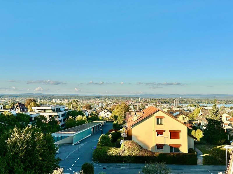 Attraktives Baugrundstück mit bestehendem Einfamilienhaus in Kreuzlingen - 1'026 m² Kopie (2)