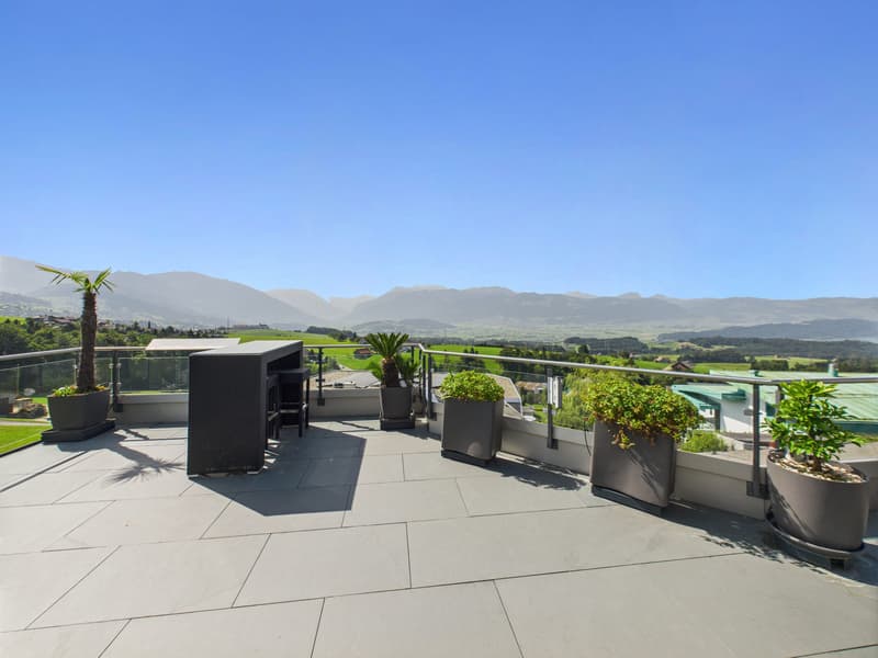 Appartamento terrazza esclusivo in una posizione splendida con vista libera sulle montagne, la Linthebene e il lago di Zurigo (11)