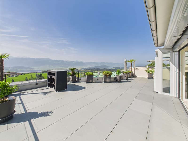Appartamento terrazza esclusivo in una posizione splendida con vista libera sulle montagne, la Linthebene e il lago di Zurigo (2)