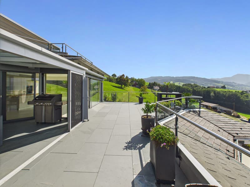 Appartement de terrasse exclusif dans un endroit magnifique avec vue dégagée sur les montagnes, la Linthebene et le lac de Zurich (2)