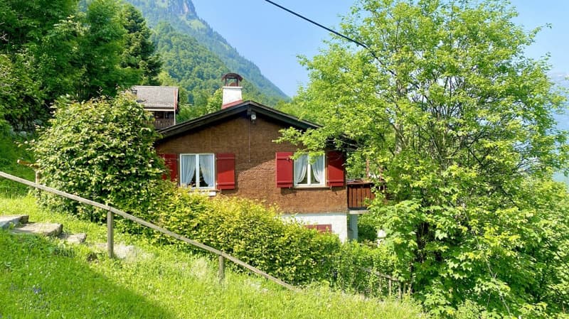 Ritiro soleggiato nel verde (5)