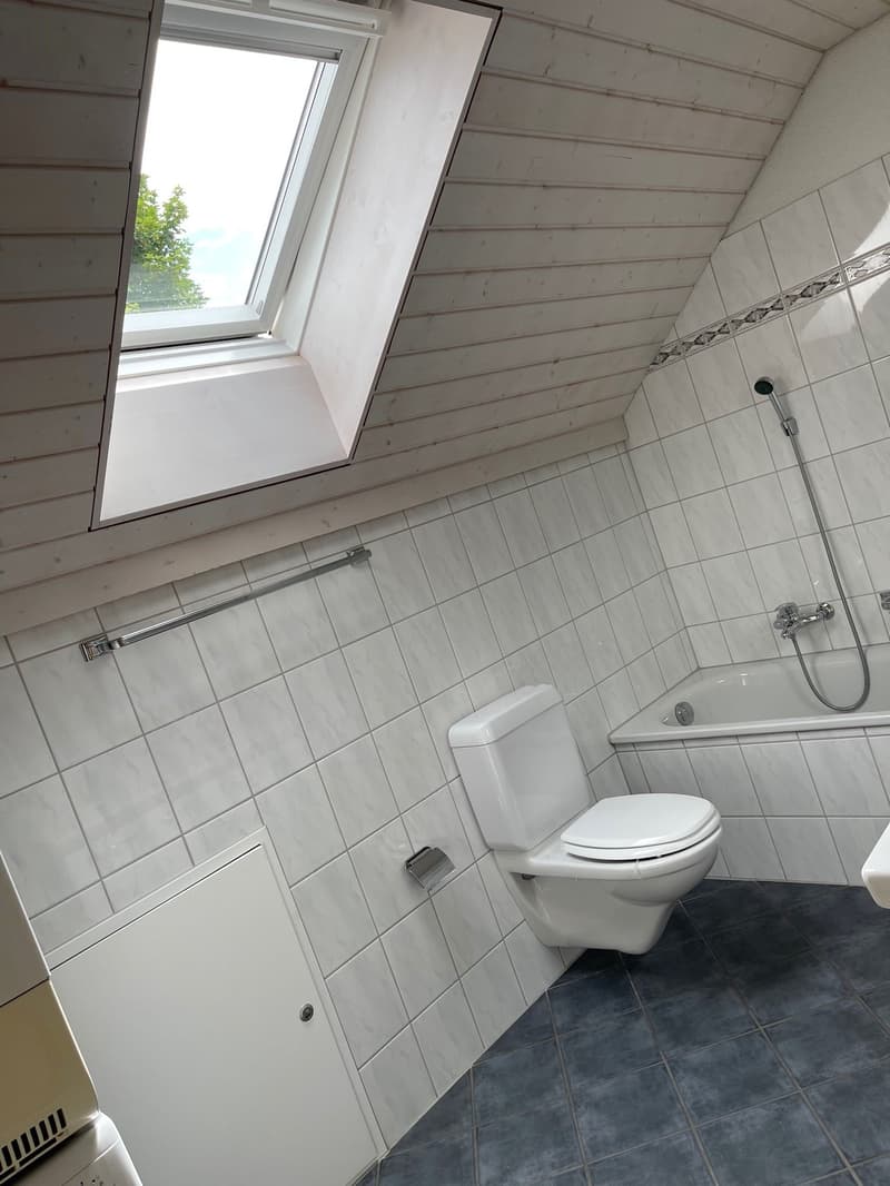 Bright, cozy apartment looking for you! (9)