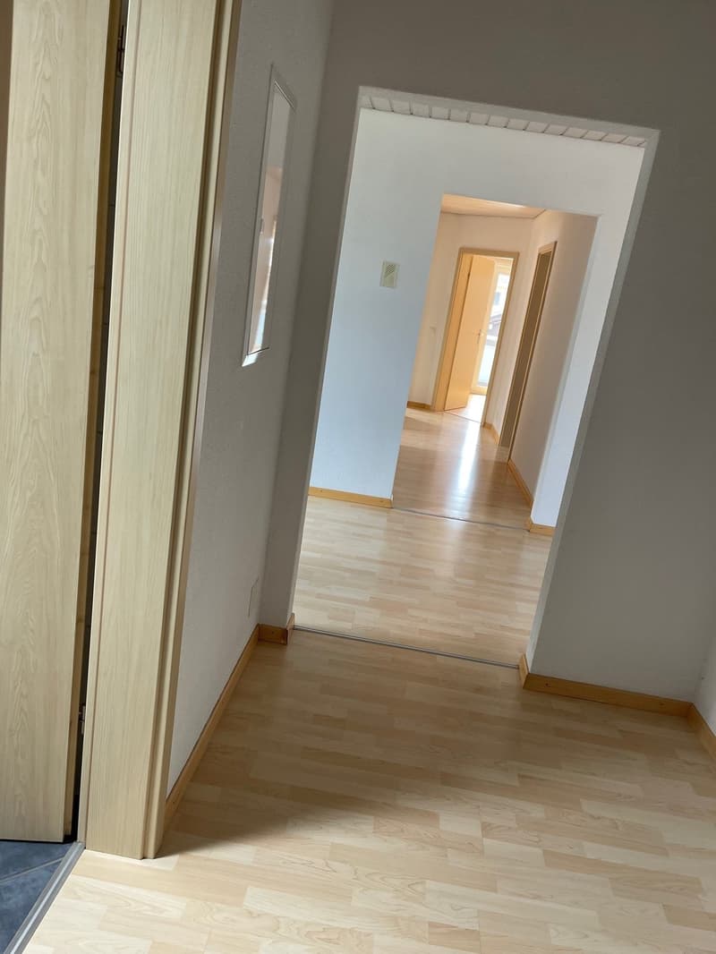 Bright, cozy apartment looking for you! (6)