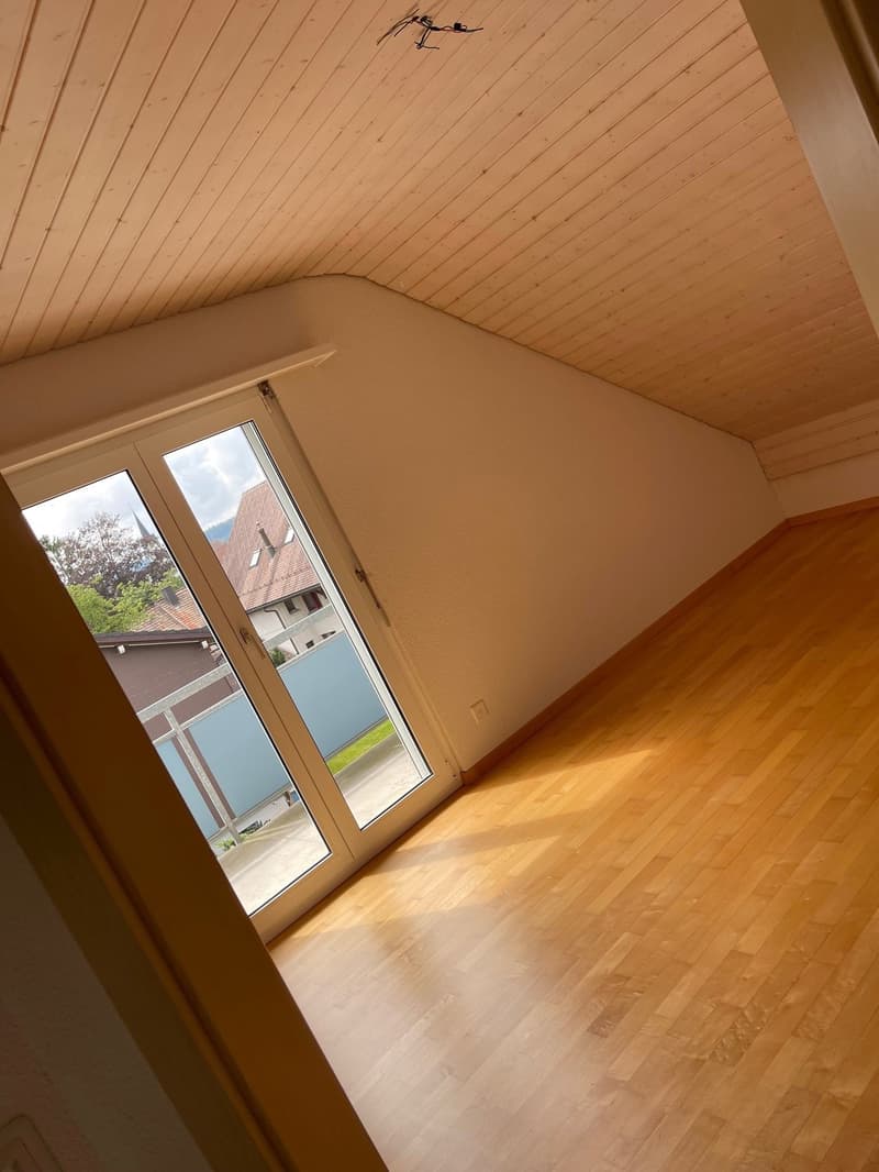Bright, cozy apartment looking for you! (5)