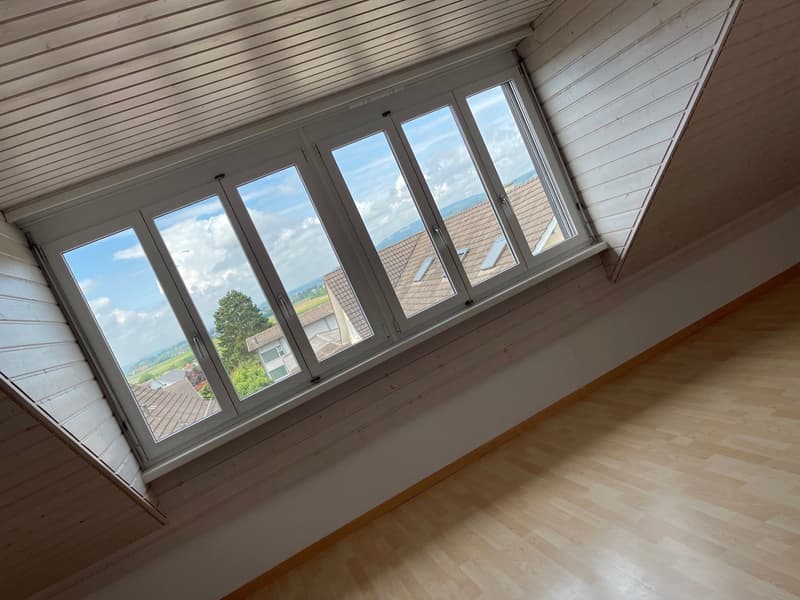Bright, cozy apartment looking for you! (4)