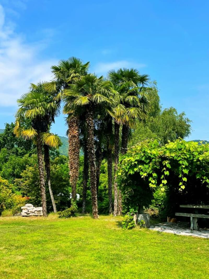 TOP 916 Charmante Villa mit grossem Garten (7)