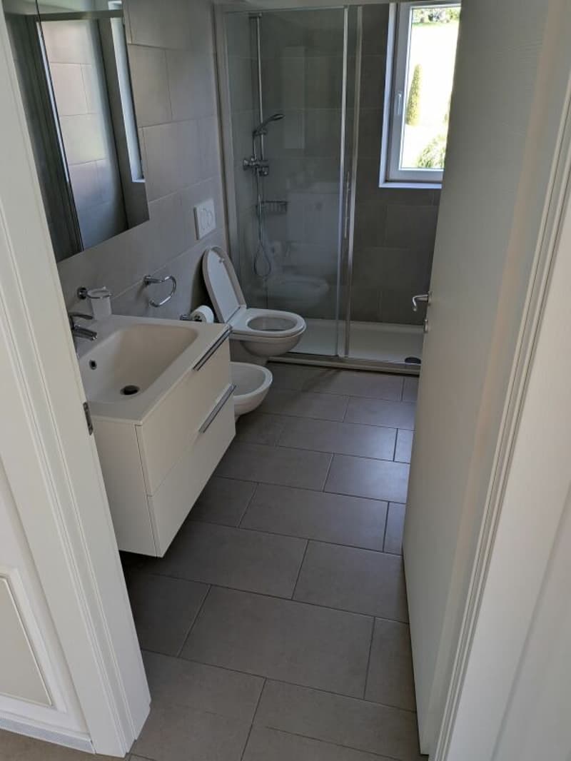 4.5-room apartment in Novaggio - barrier-free & comfortable (2)