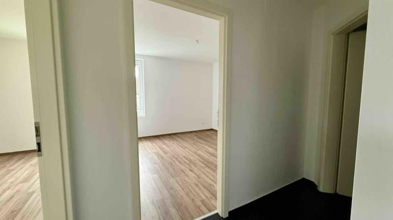 Appartamento 3.5 locali (4)