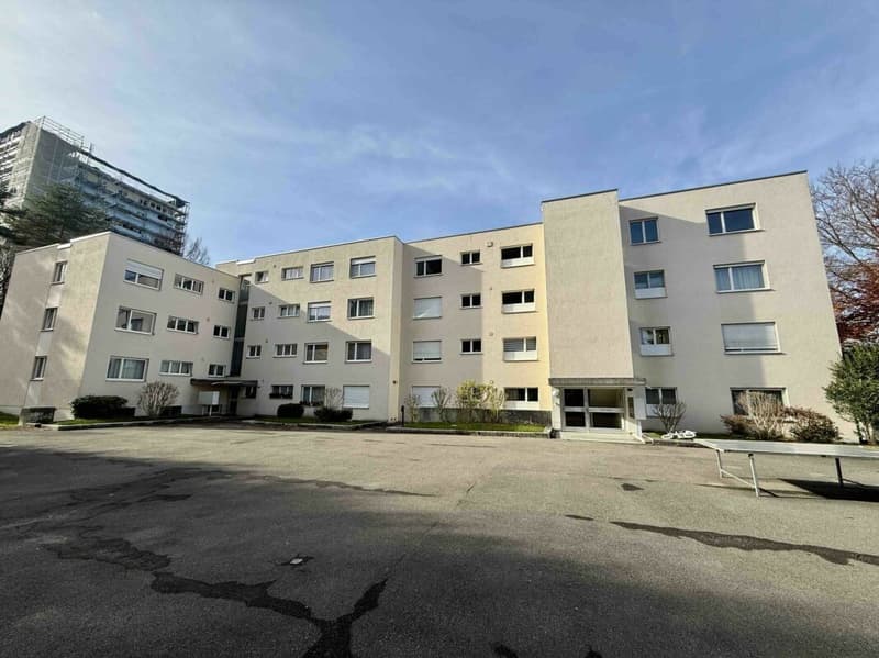5.5-Zimmerwohnung (1)