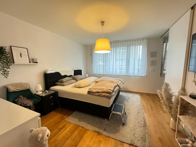 Wohnung - Dübendorf