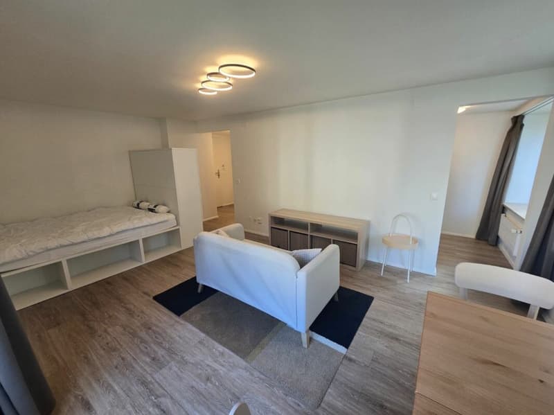 Appartement de ville 1.5 pièces rénové et meublé (4)