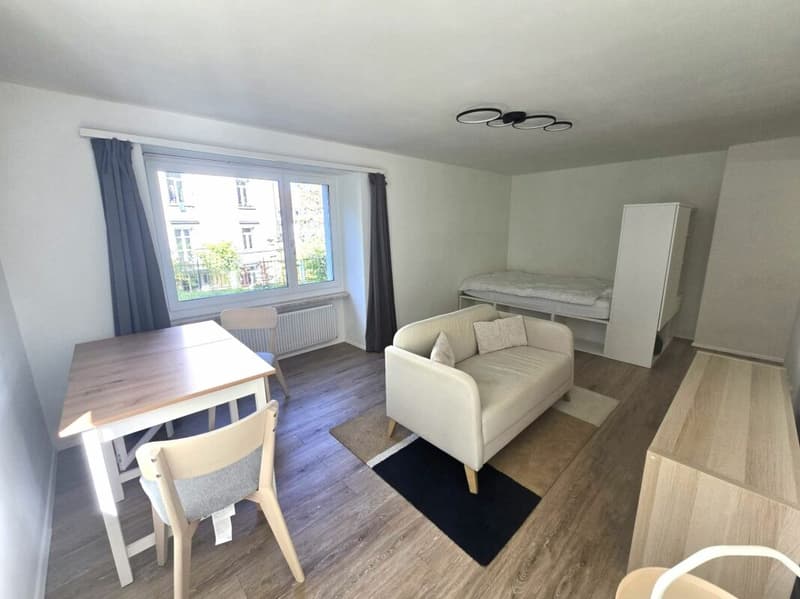 Appartement de ville 1.5 pièces rénové et meublé (2)