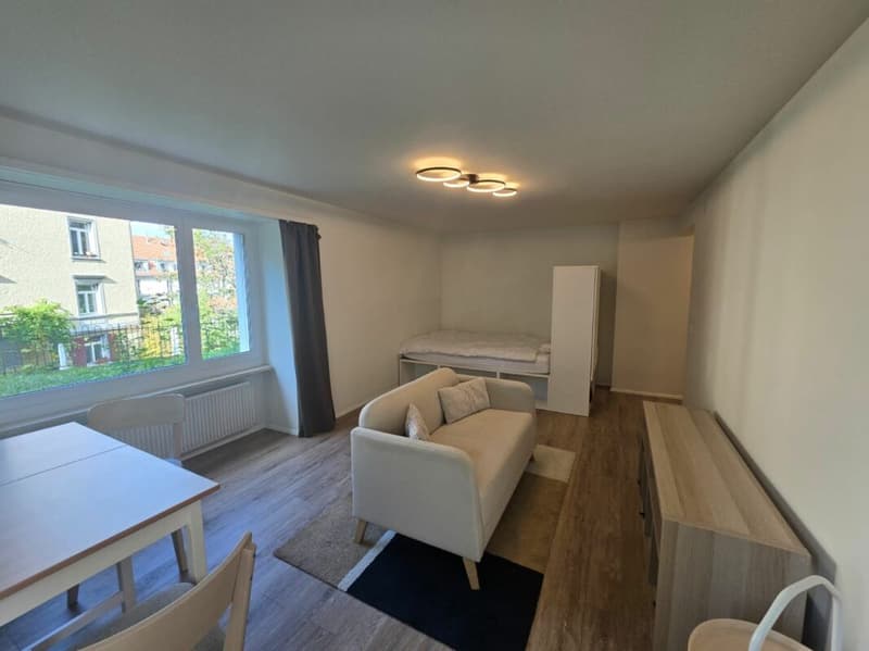 Appartement de ville 1.5 pièces rénové et meublé (5)