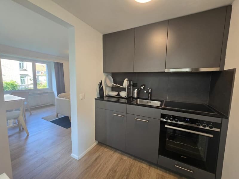 Appartement de ville 1.5 pièces rénové et meublé (6)