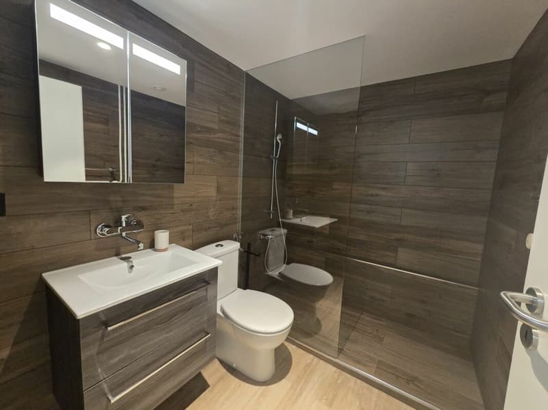 Appartement de ville 1.5 pièces rénové et meublé (8)