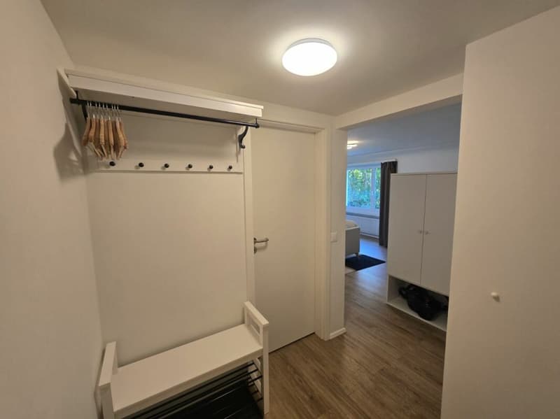 Appartement de ville 1.5 pièces rénové et meublé (7)
