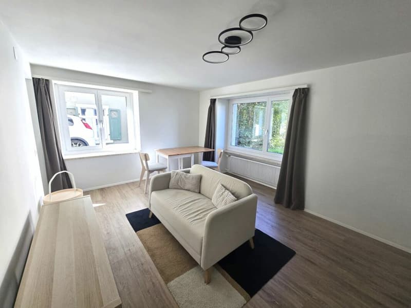 Appartement de ville 1.5 pièces rénové et meublé (3)