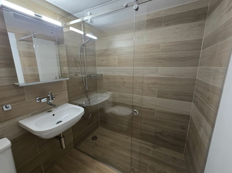1.5-room city apartment renovated and furnished (6)
