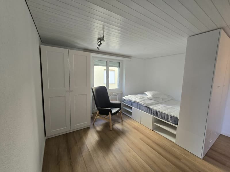 1.5-room city apartment renovated and furnished (5)