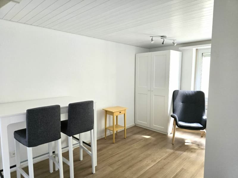 1.5-room city apartment renovated and furnished (4)