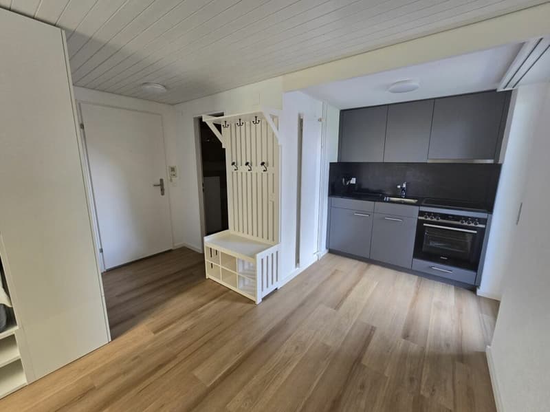 1.5-room city apartment renovated and furnished (2)