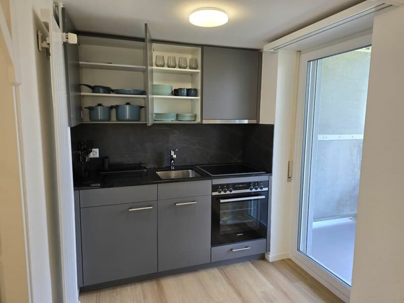 1.5-room city apartment renovated and furnished (3)