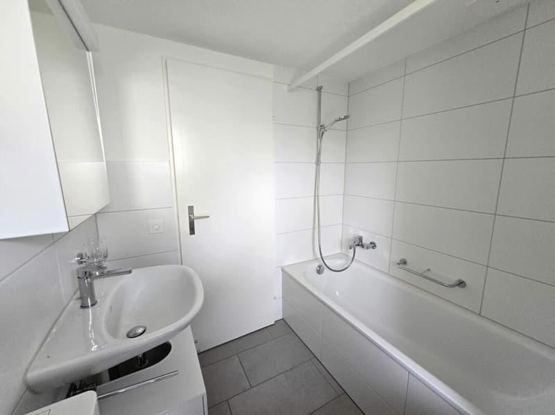 Appartement studio meublé de nouvelle acquisition au cœur de St. Gallen (7)