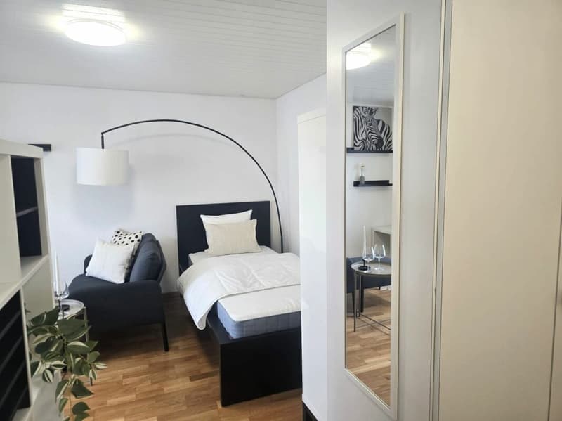 Appartement studio meublé de nouvelle acquisition au cœur de St. Gallen (2)