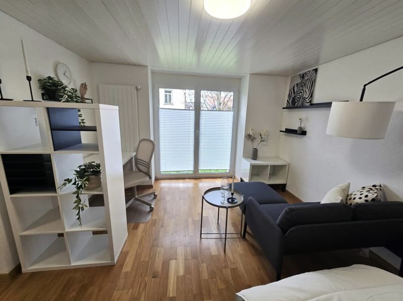Appartement studio meublé de nouvelle acquisition au cœur de St. Gallen (4)