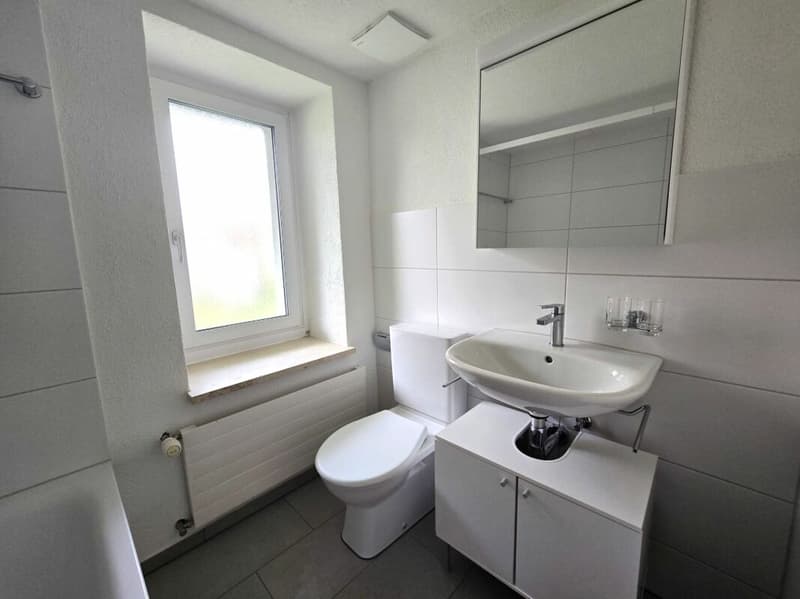 Appartement studio meublé de nouvelle acquisition au cœur de St. Gallen (6)