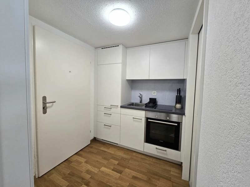 Appartement studio meublé de nouvelle acquisition au cœur de St. Gallen (5)