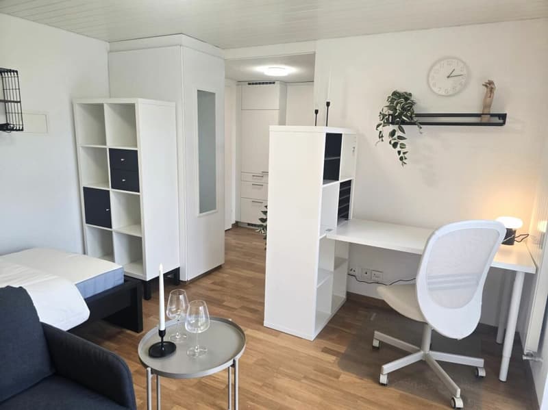 Appartement studio meublé de nouvelle acquisition au cœur de St. Gallen (3)