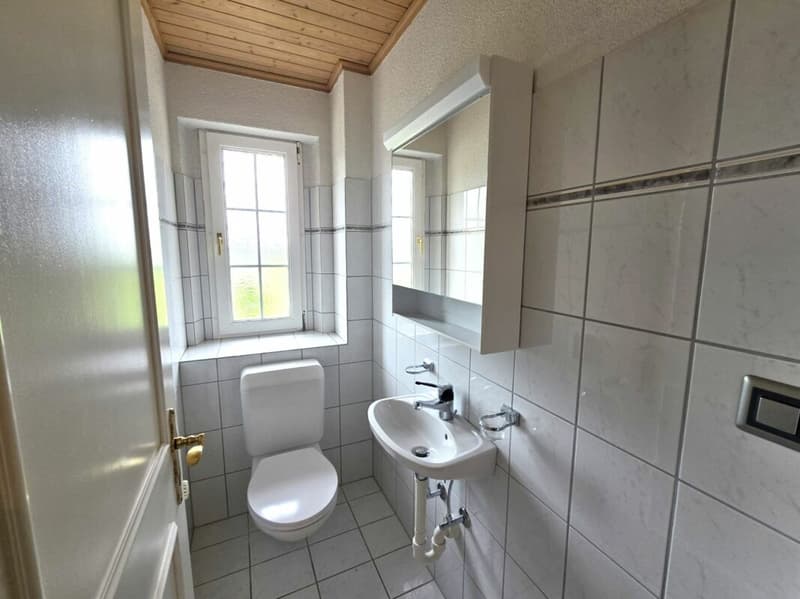 Charmante 4.5-Zimmer-Wohnung am Rosenberg in St. Gallen (11)