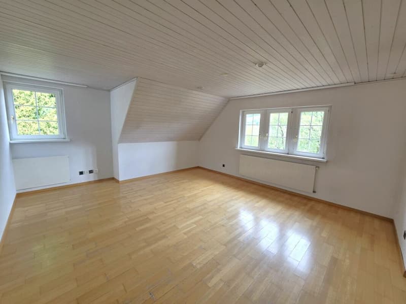 Charmante 4.5-Zimmer-Wohnung am Rosenberg in St. Gallen (7)