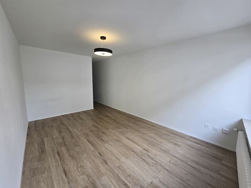 1-Zimmer-Wohnung im Herzen von St. Gallen (3)