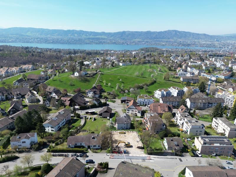 Aerial view of a neighborhood with houses, green fields, and a lake in the distance