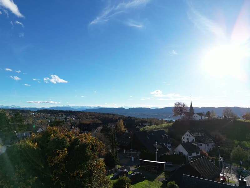Aerial view of a village with houses, trees, and mountains in the background