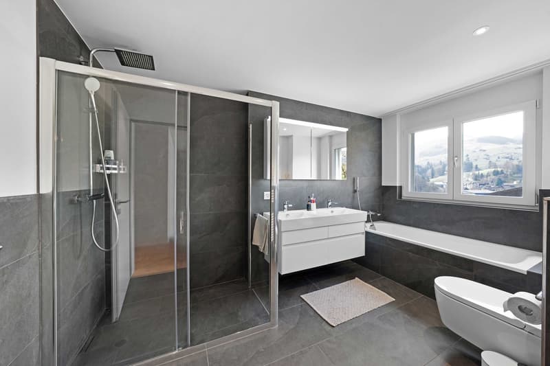 modern bathroom with shower, bathtub, sink, toilet, mirror, and windows