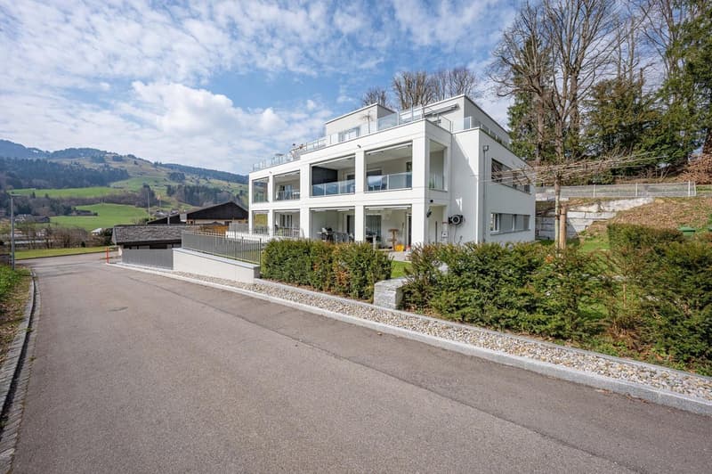 Appartement moderne 4.5 pièces avec panorama montagnard à Ebnat-Kappel (3)