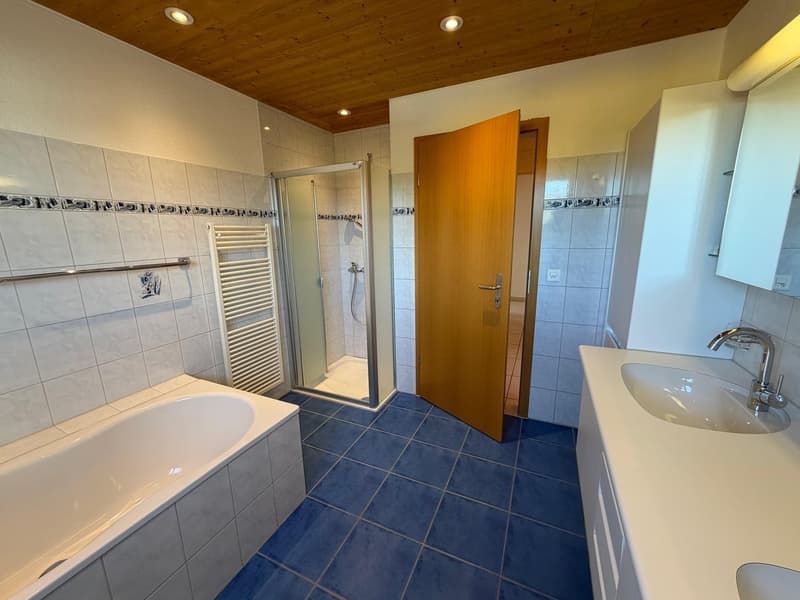 Grosszügige 5.5 Zimmer Dachwohnung mit Panoramablick und separatem Büro (10)
