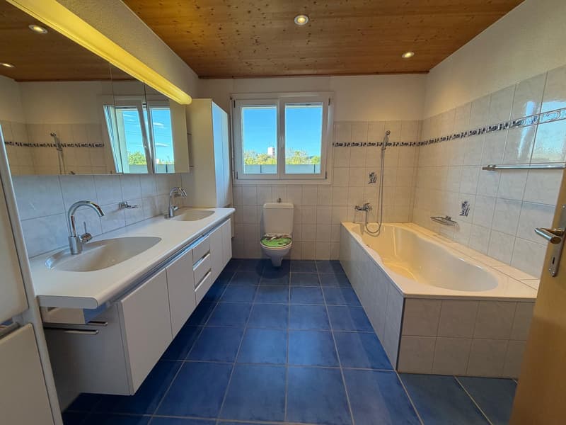 Grosszügige 5.5 Zimmer Dachwohnung mit Panoramablick und separatem Büro (11)