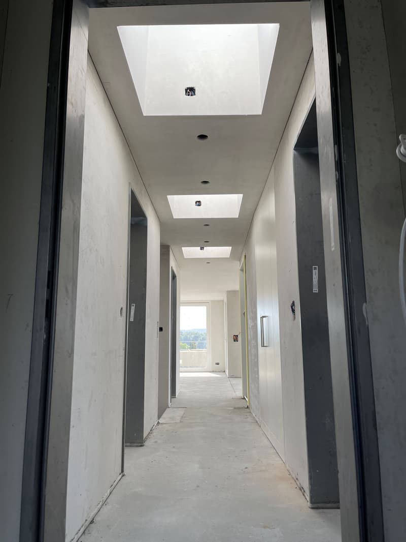 4.5 room attic apartment with spacious sun terrace and panoramic view (9)