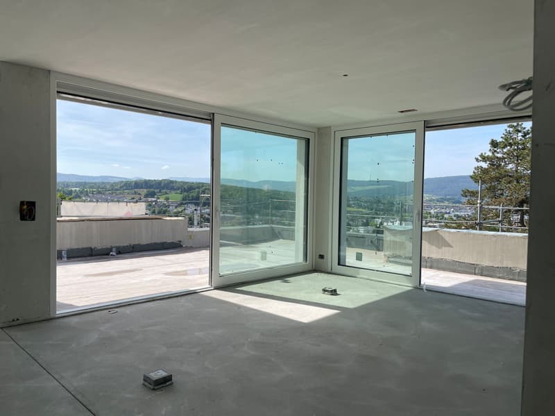 4.5 room attic apartment with spacious sun terrace and panoramic view (8)