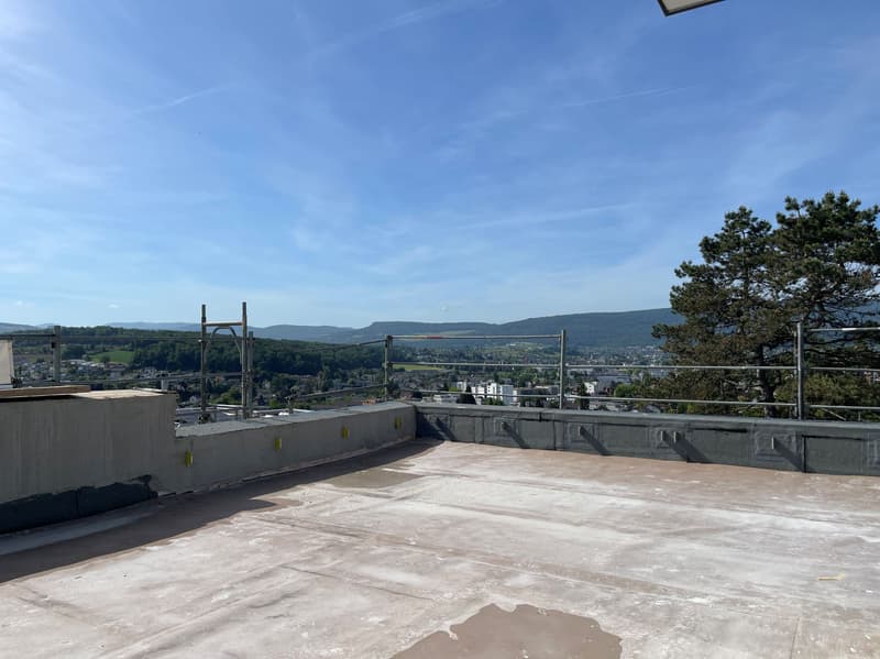 4.5 room attic apartment with spacious sun terrace and panoramic view (12)
